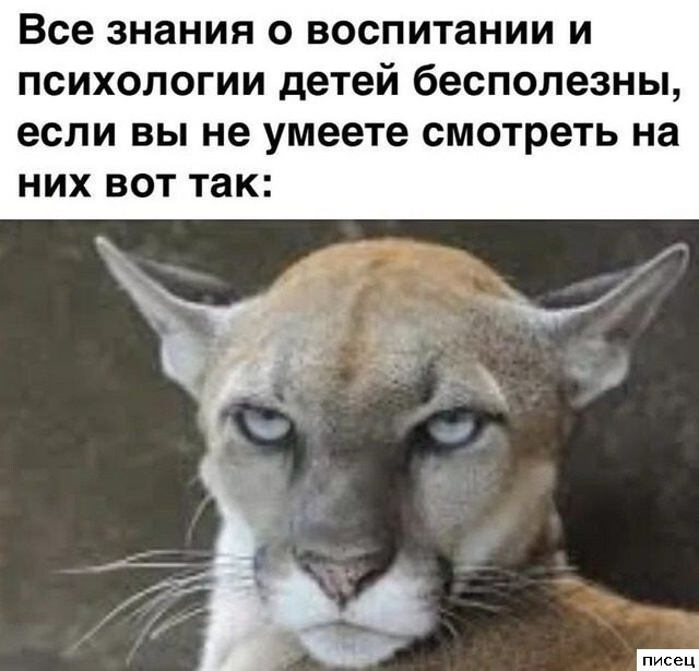 Приколы интернета. Классика жанра!