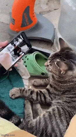 Великолепные анимированные приколы. Голосуйте!