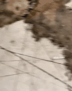 Великолепные анимированные приколы. Голосуйте!