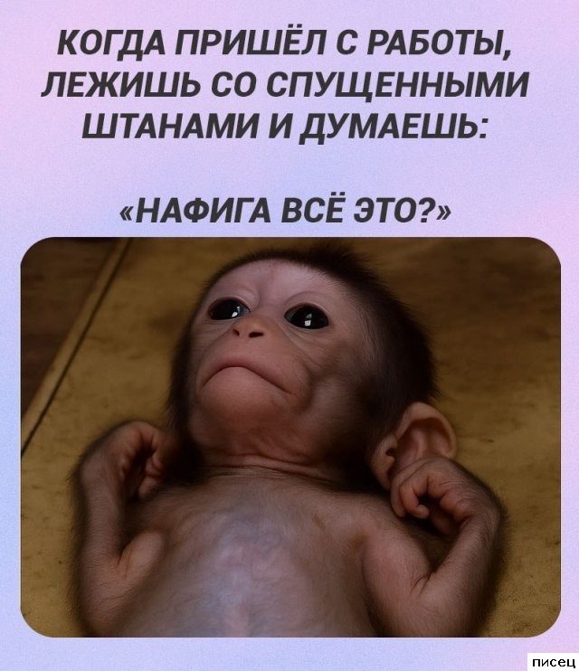 Кайфовые приколы в стиле «Когда...». Шикардятина!