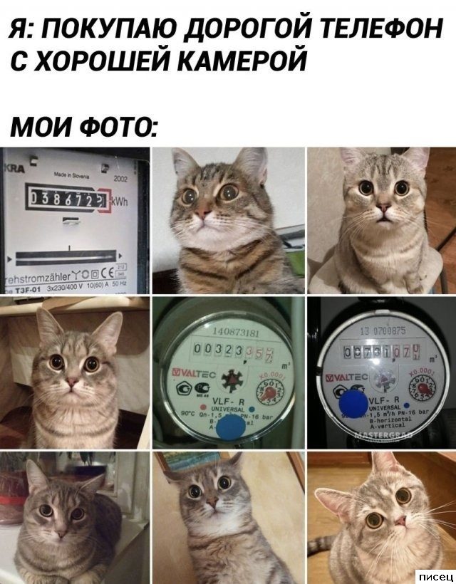 Все приколы Ноября. Всегда отлично!