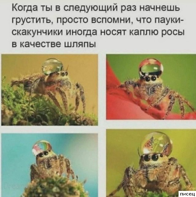 Кайфовые приколы в стиле «Когда...». Шикардятина!