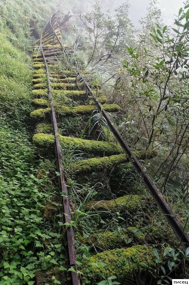 На эти снимки невозможно смотреть равнодушно. Согласны?