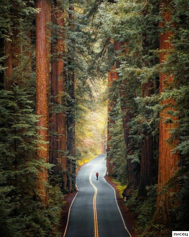 На эти снимки невозможно смотреть равнодушно. Согласны?