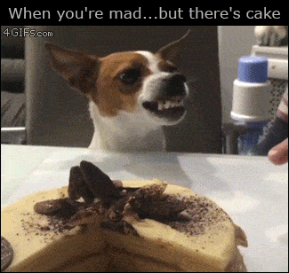 Шикарные анимированные приколы