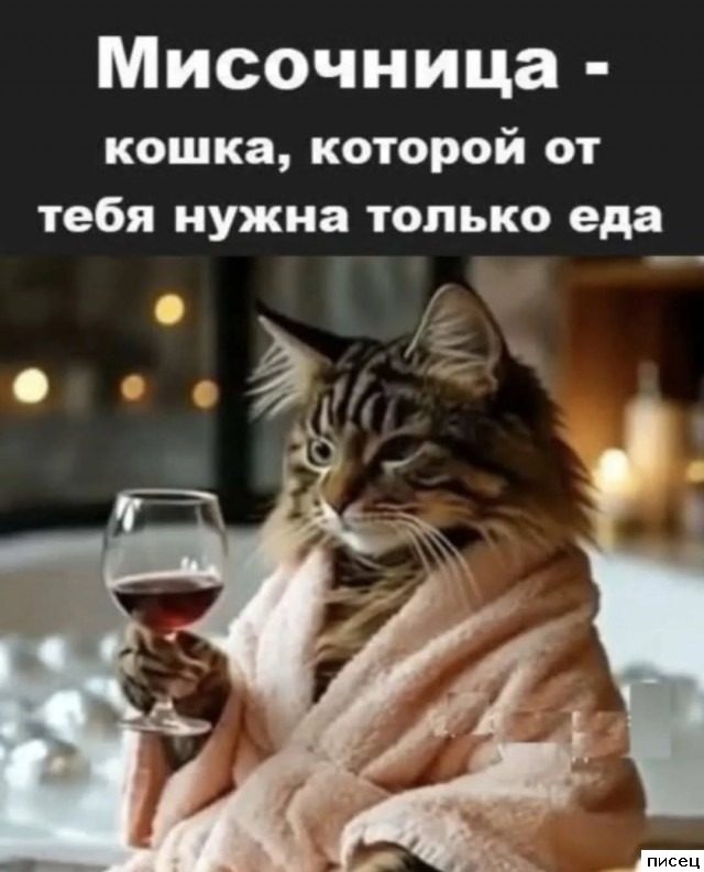 В самую точку! Класс!