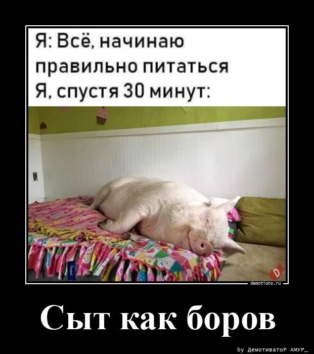 Прикольные Демотиваторы. Мне очень нравится!