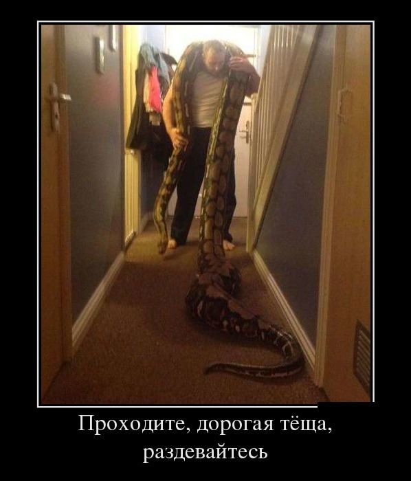 Прикольные Демотиваторы. Мне очень нравится!