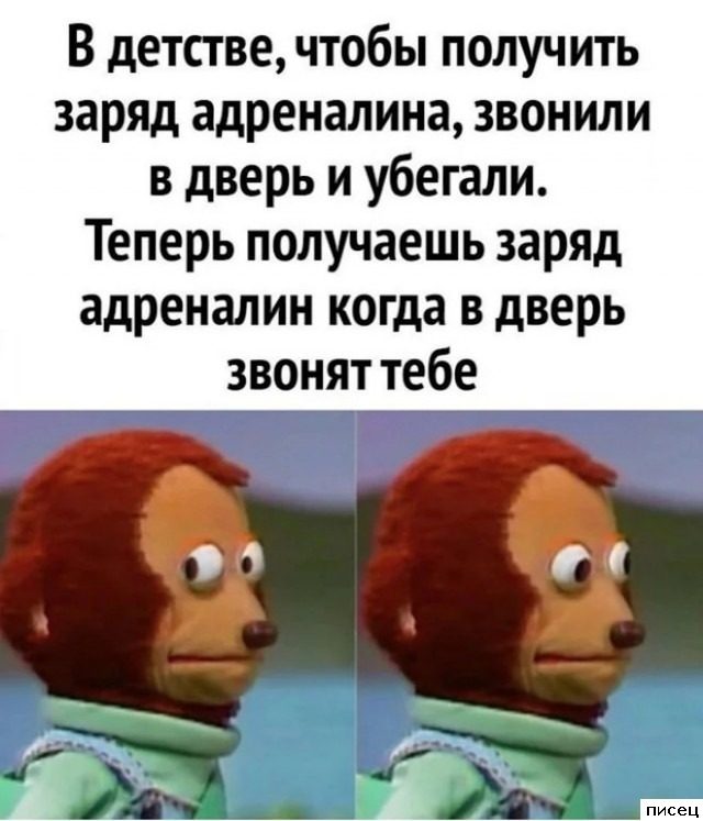 Все приколы Ноября. Финал