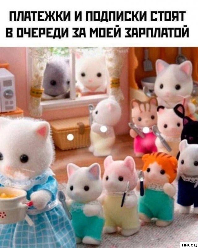 Все приколы Ноября. Финал