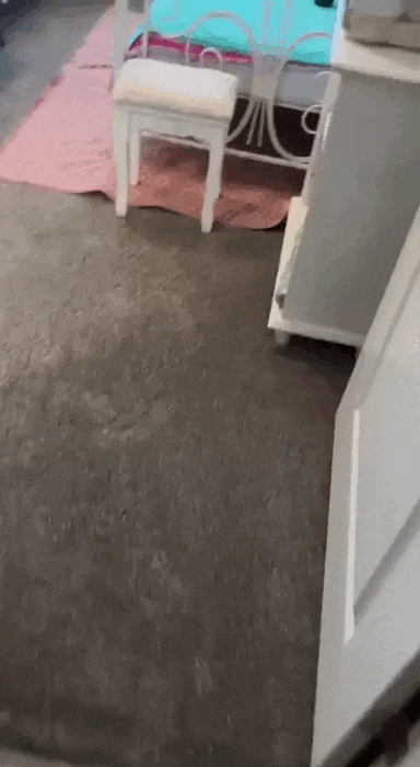 Скотина года. Ржунимагу!