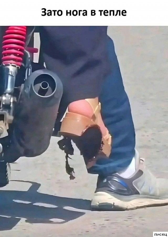 Все приколы Ноября. Финал