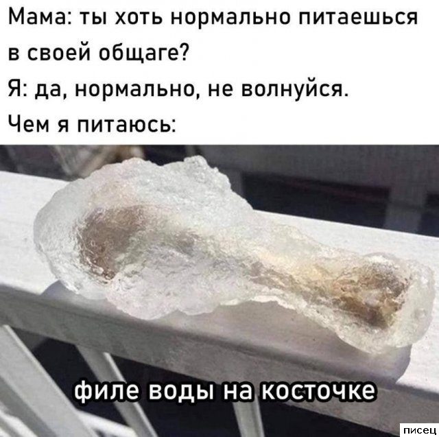 Все приколы Ноября. Финал
