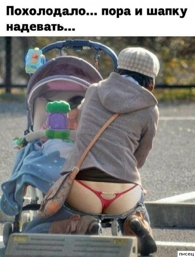 Все приколы Ноября. Финал