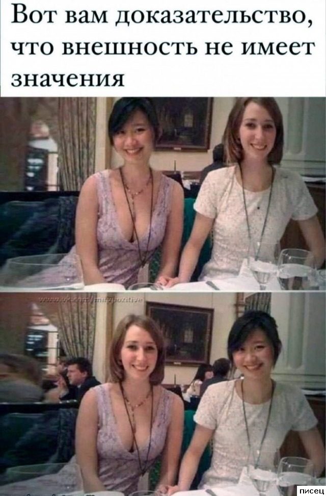 Все приколы Ноября. Финал