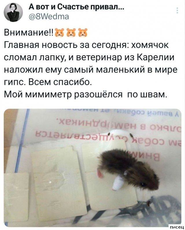 Все прикольные комментарии. Зачёт!