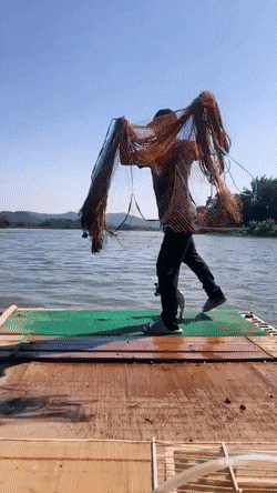 Анимированные приколы дня. Великолепно!