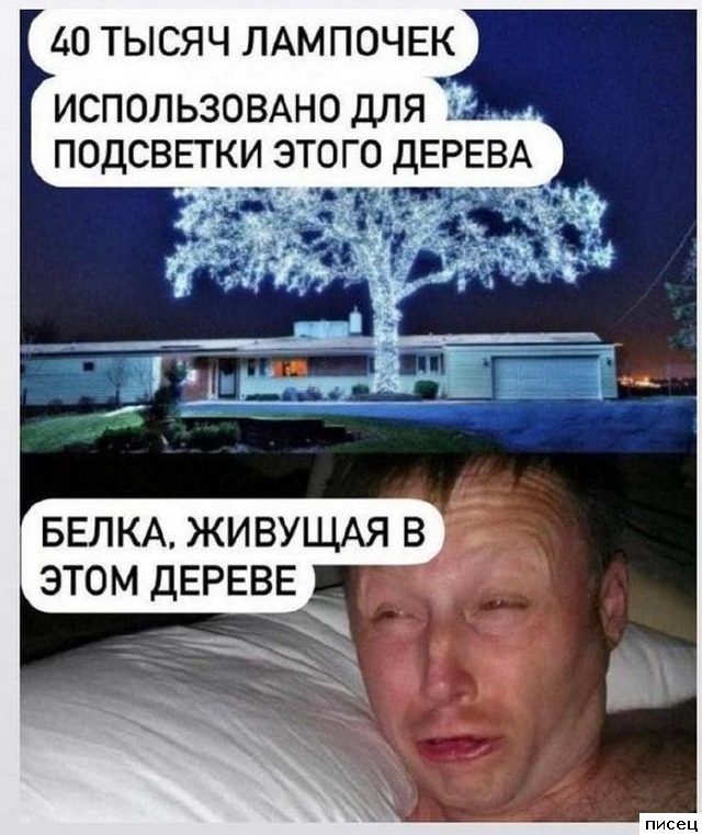 Приколы интернета. Класс!