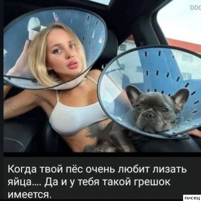 Кайфовые приколы в стиле «Когда...». Шикардос!