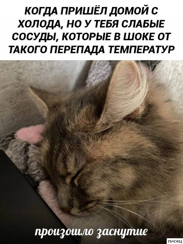 Кайфовые приколы в стиле «Когда...». Шикардос!