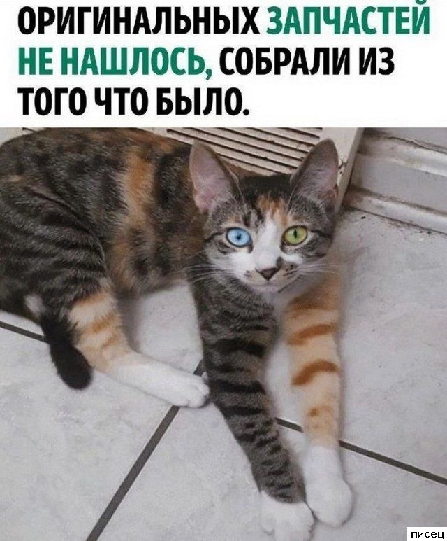 Все приколы Декабря. Великолепно!