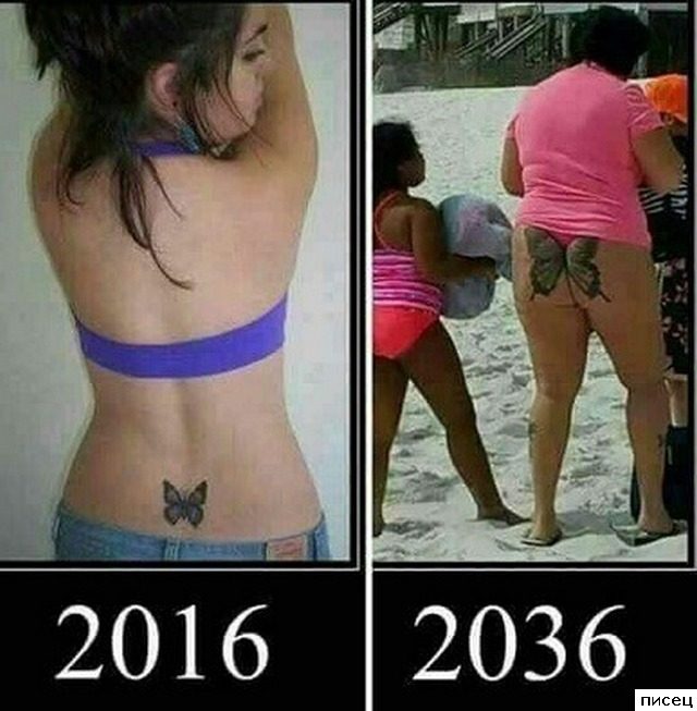 Все приколы Декабря. Великолепно!