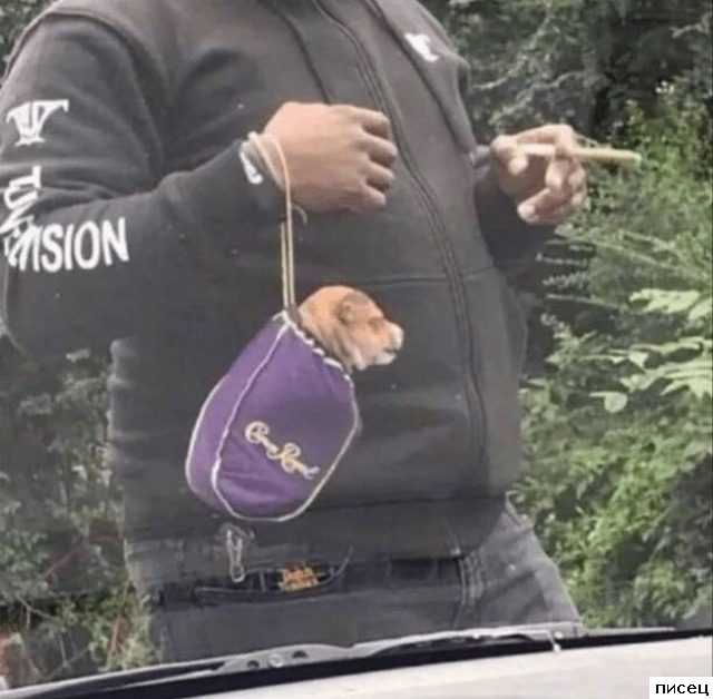 Все приколы Декабря. Великолепно!