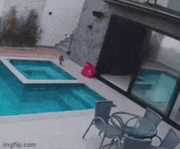 Анимированные приколы дня. Весёлое настроение!