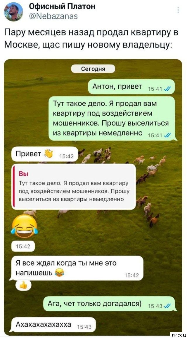 Все прикольные комментарии интернета