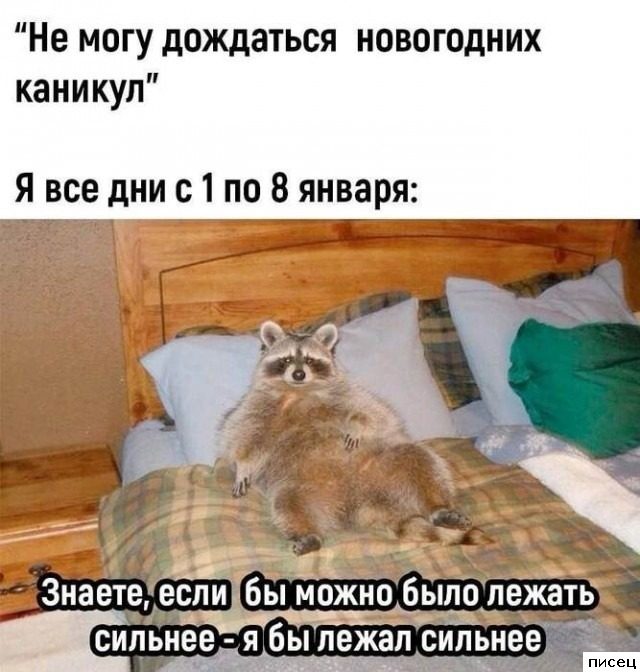 Господа, а ведь скоро Новый Год!