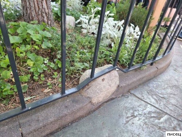 Писец, зачем это всё?