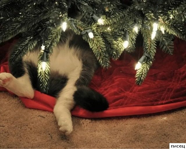 Господа, а ведь скоро Новый Год!