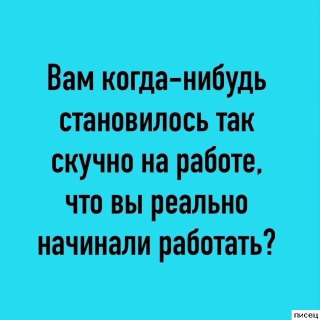 Рабочие приколы. Шикардос!