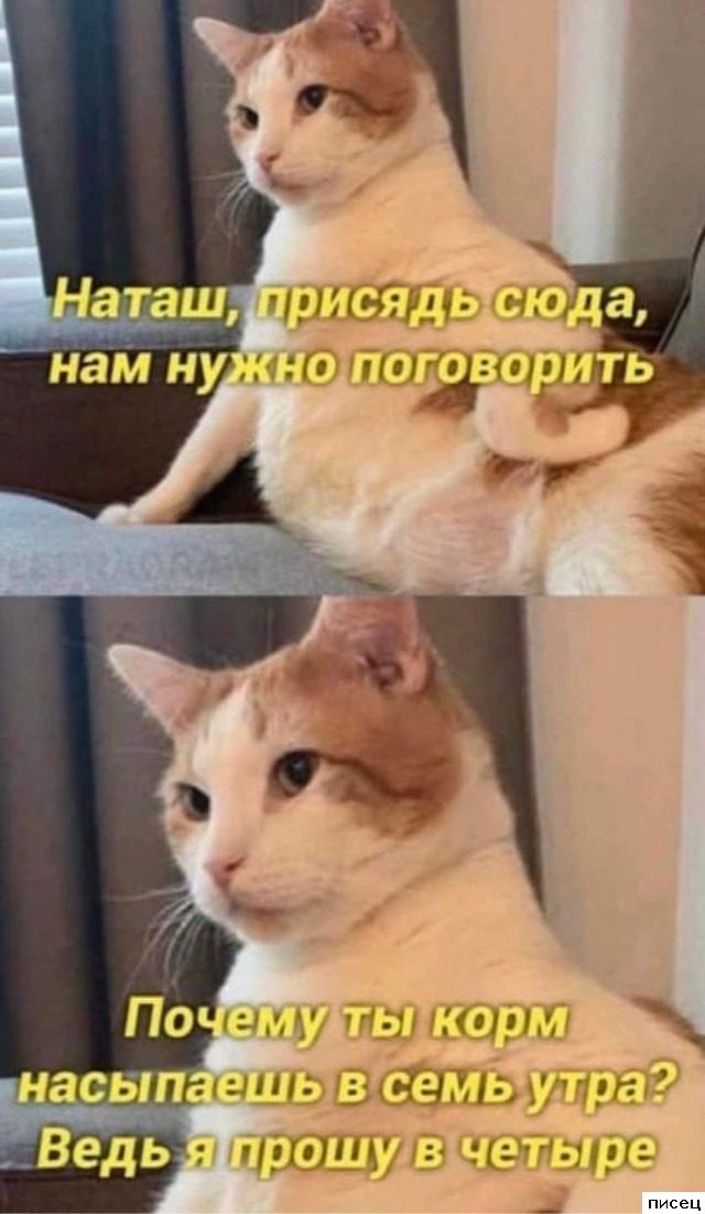 Смехотерапия Писца. Любимое лекарство от всех болезней!