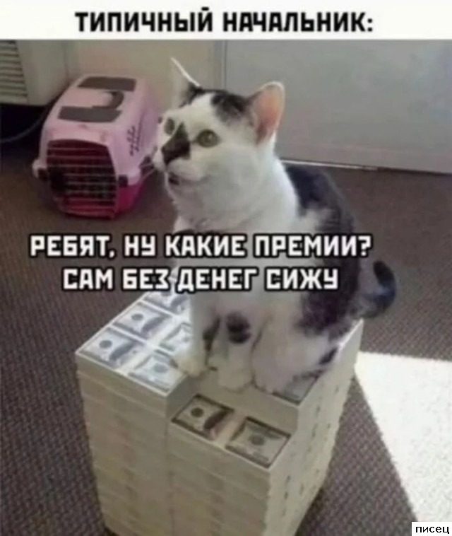 Рабочие приколы. Шикардос!