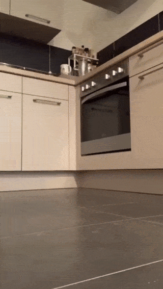 Смешная анимация для поднятия настроения