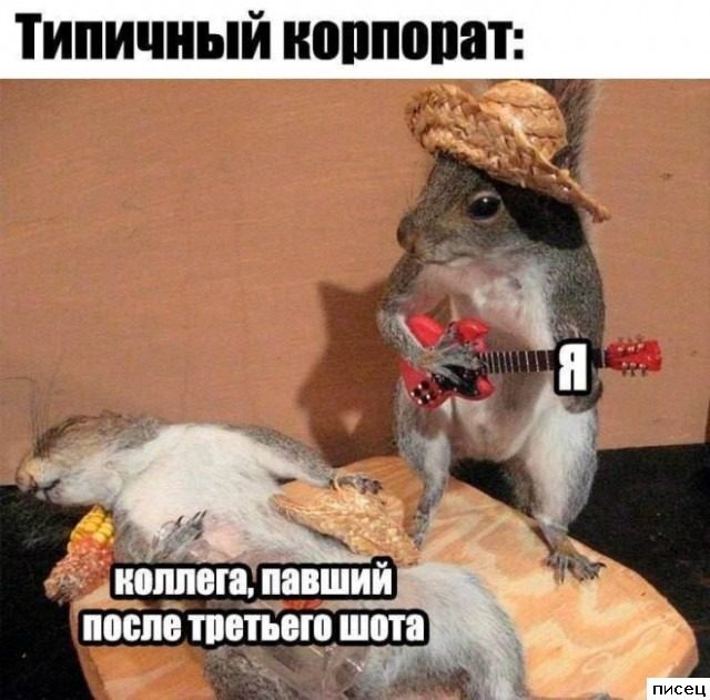 Рабочие приколы. Шикардос!