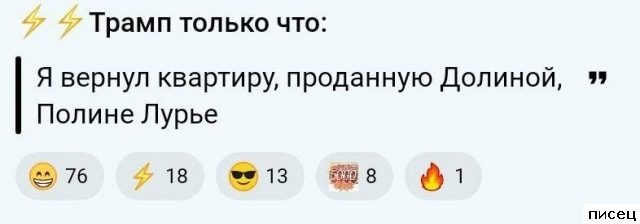 25 декабрьских приколов из соцсетей. Супер!