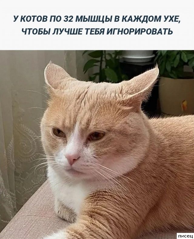 Все приколы Декабря. Всегда отлично!