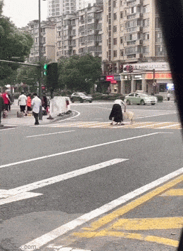 Весёлая анимация для поднятия настроения