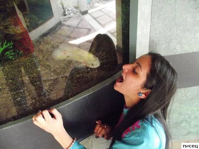 Женский юмор. Здесь только Хиты!