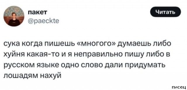 Все прикольные комментарии интернета. Кайф!