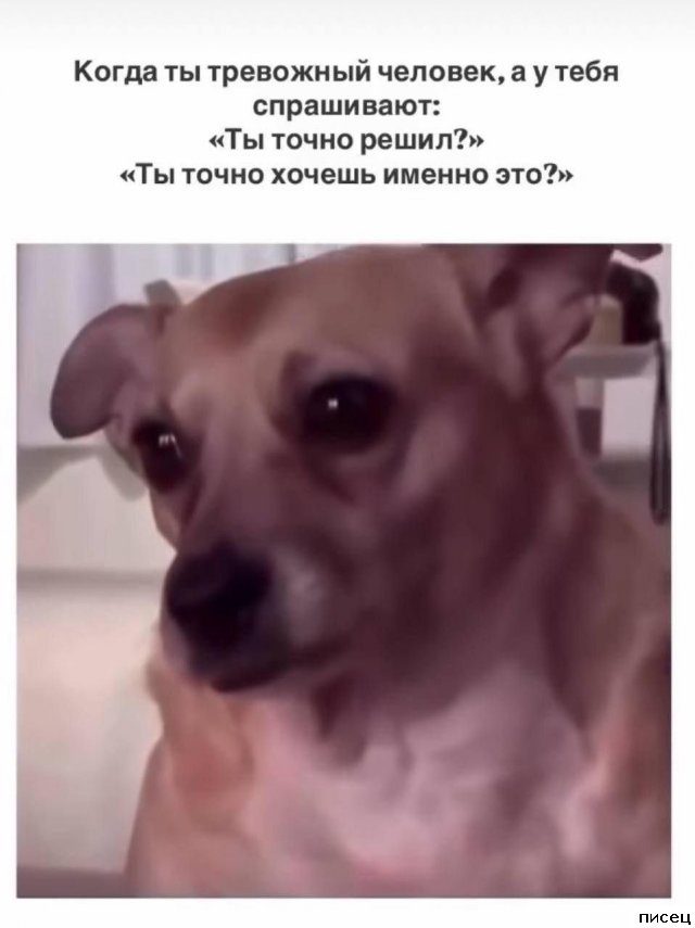 Великолепные приколы в стиле «Когда...». Класс!