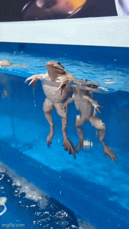 Весёлая анимация. Отлично!