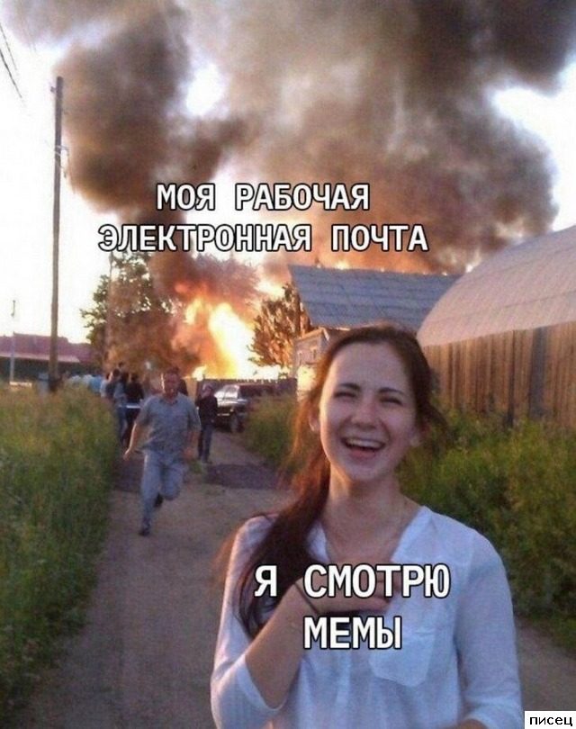 Смехотерапия Писца для новогоднего настроения