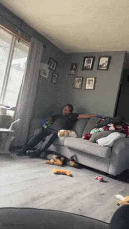 Весёлая анимация. Отлично!