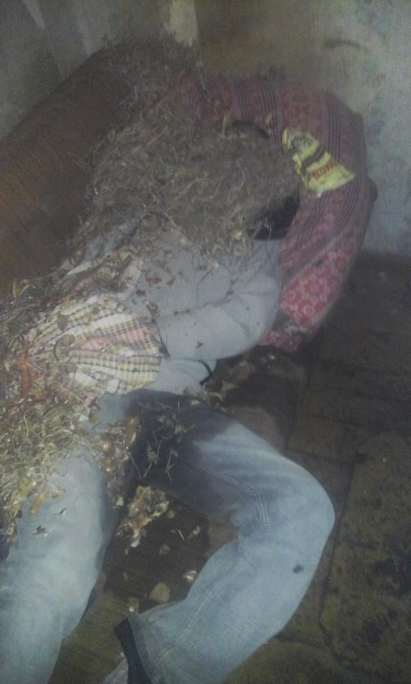 Когда студенты отдыхают