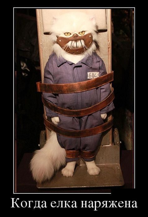 Классические Демотиваторы