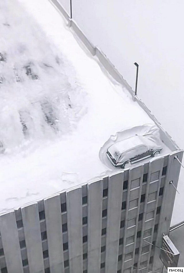 Зимние приколы интернета