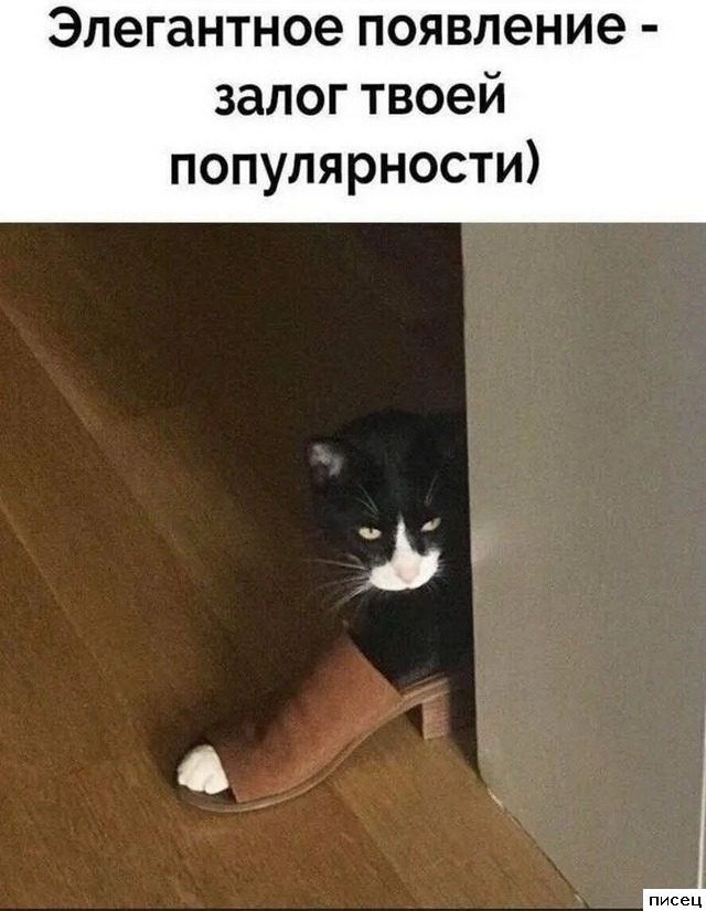 Все приколы Декабря. Финальная серия